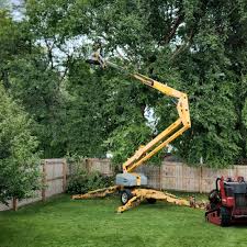 Best Seasonal Cleanup (Spring/Fall)  in Bryant, WA
